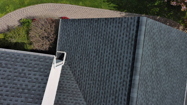 Best Slate Roofing  in Lady Lake, FL
